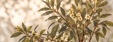 Sunlit botanical branches