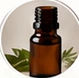Essential Oil